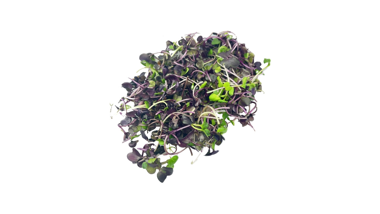 ###Øko Sango radise afskåret 50g (12)