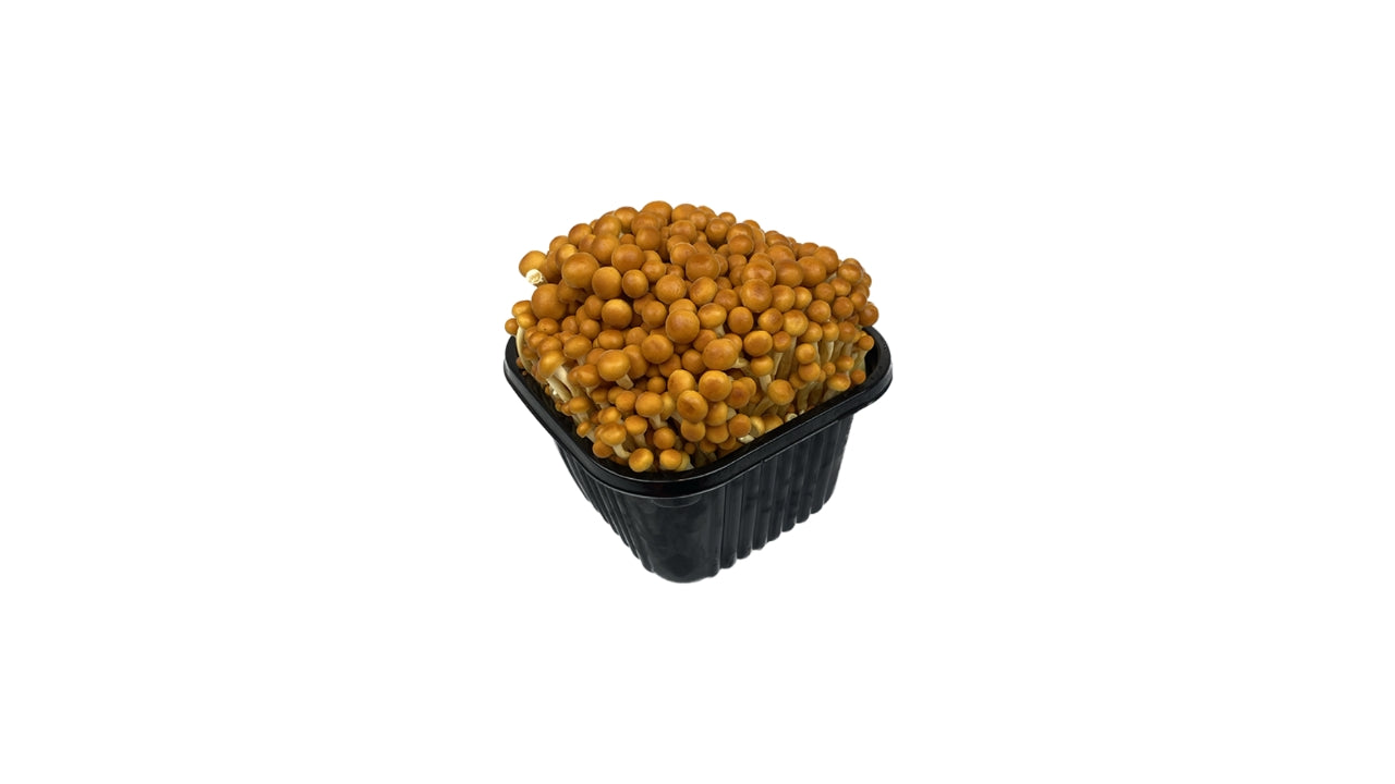 Enoki gold 200g (10)