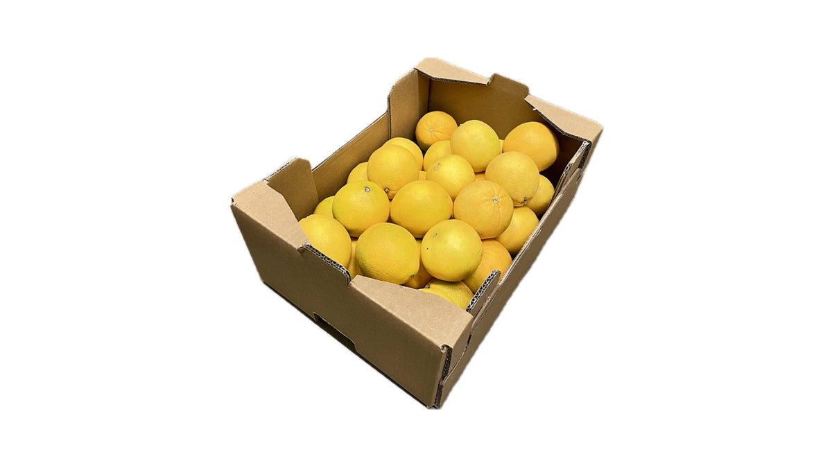 Øko Appelsiner 28-30stk 6kg