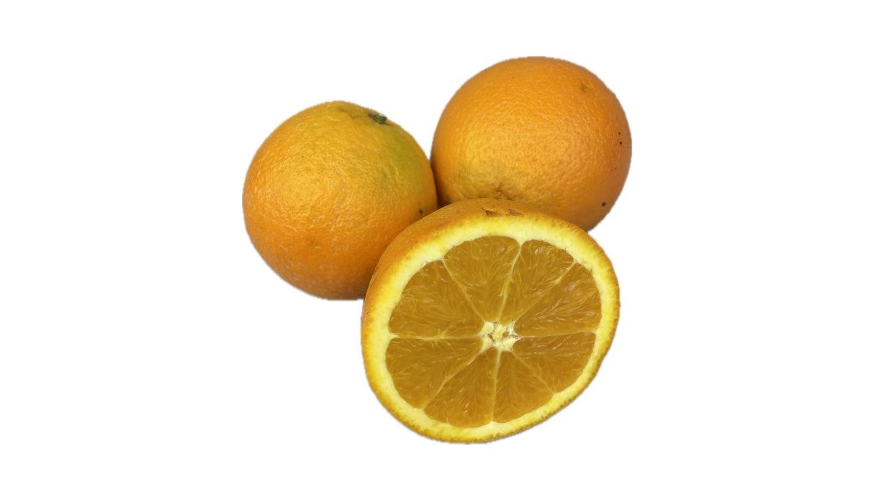 Øko Appelsin stor stk (20)