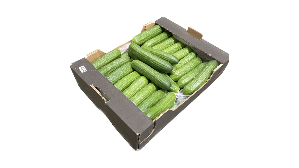 Øko Agurker skoleagurk ca 30stk 4kg