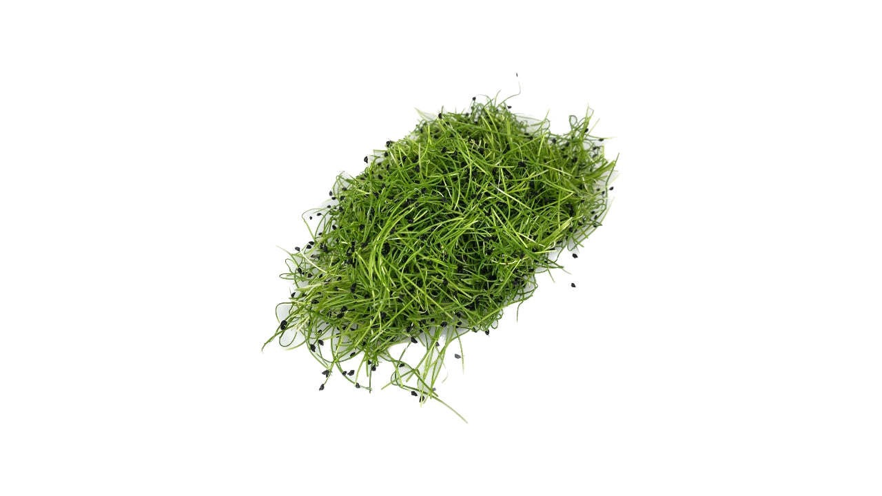 Øko Porrekarse Allium afskåret 50g (16)