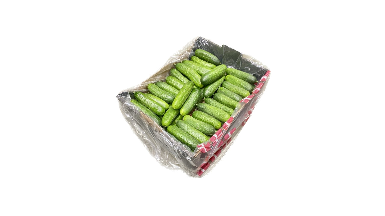 Agurker Snackagurker grønne 3kg