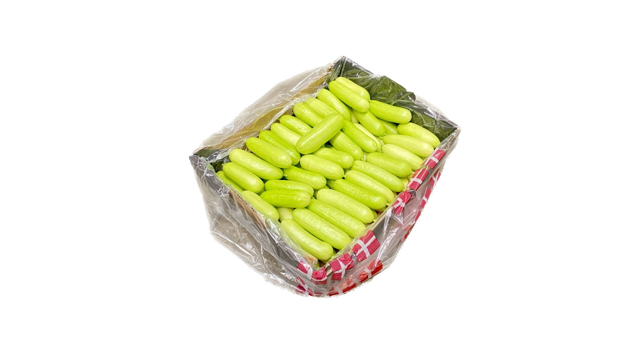 Agurker Snackagurker hvide 3kg