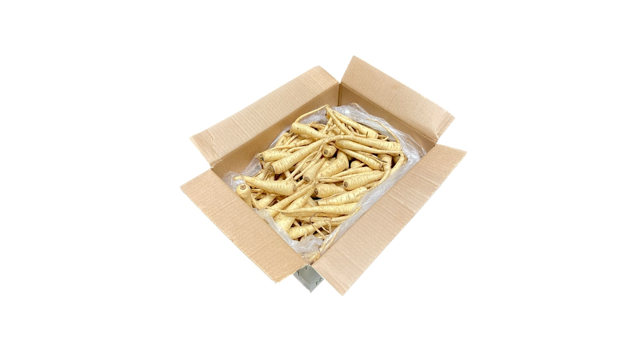 Mini pastinakker 5kg