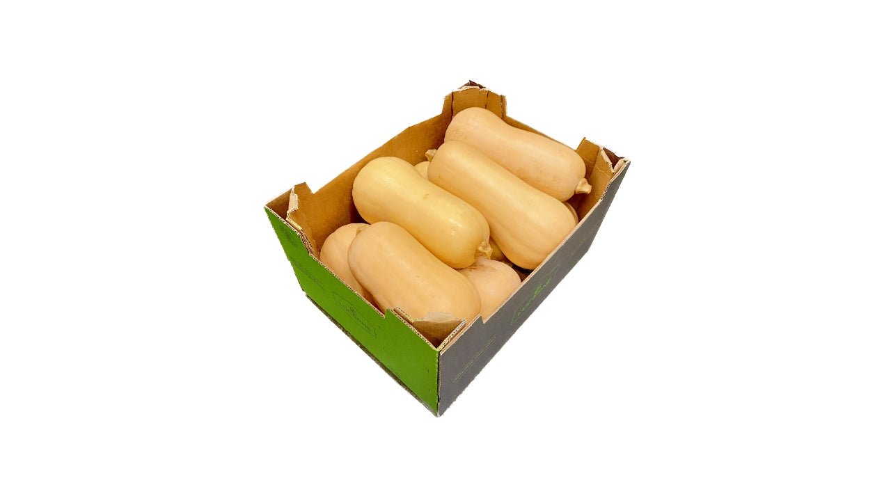 Butternut Squash 8-10 stk 10kg