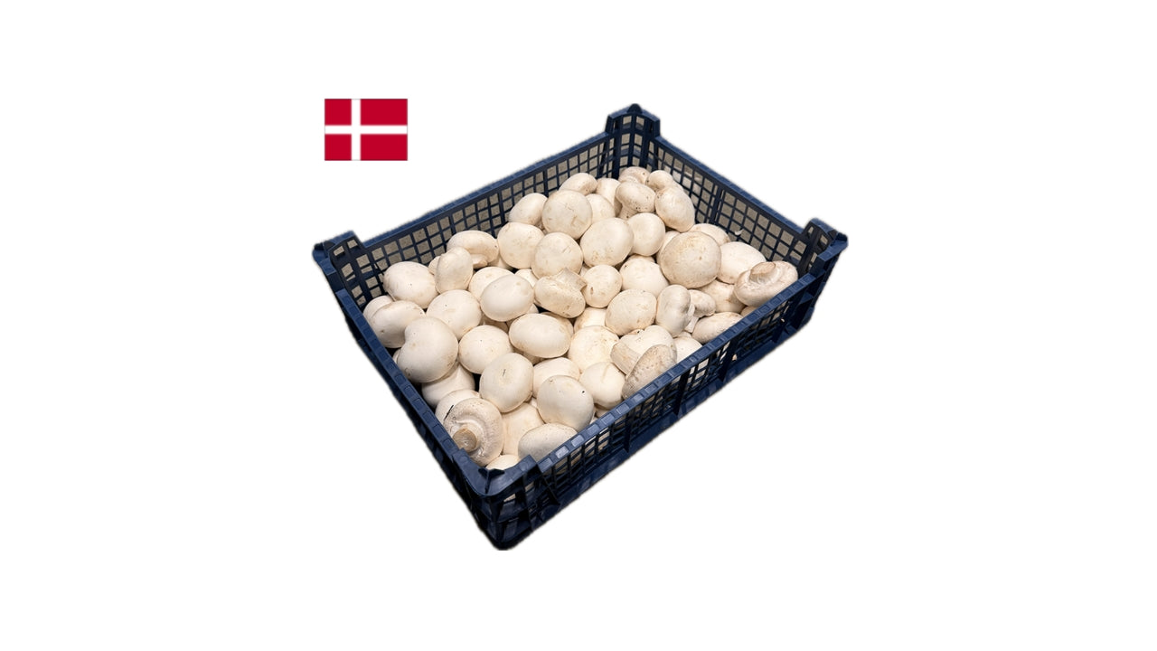 Svampe Champignon 2,5kg