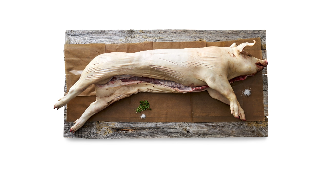 Grill gris 1/1 ca 25kg