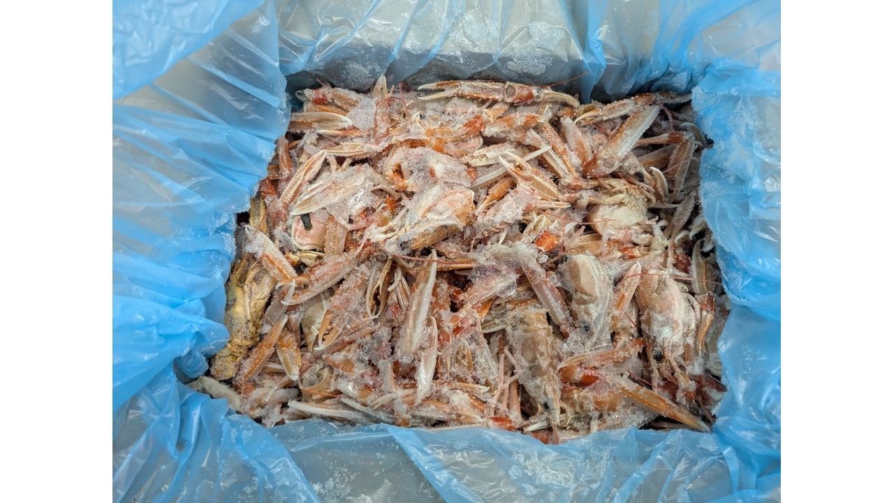 Jumfruhummer skaller rå 5kg