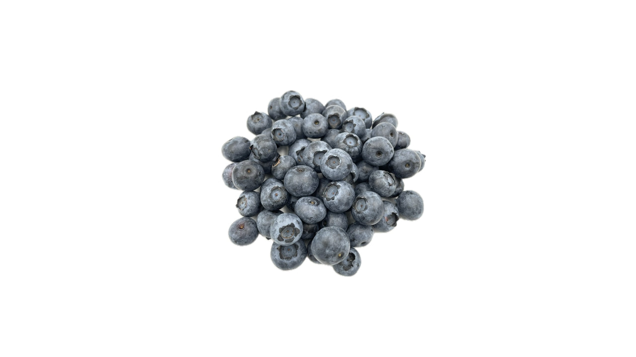 Øko Bær Blåbær 125g (12)