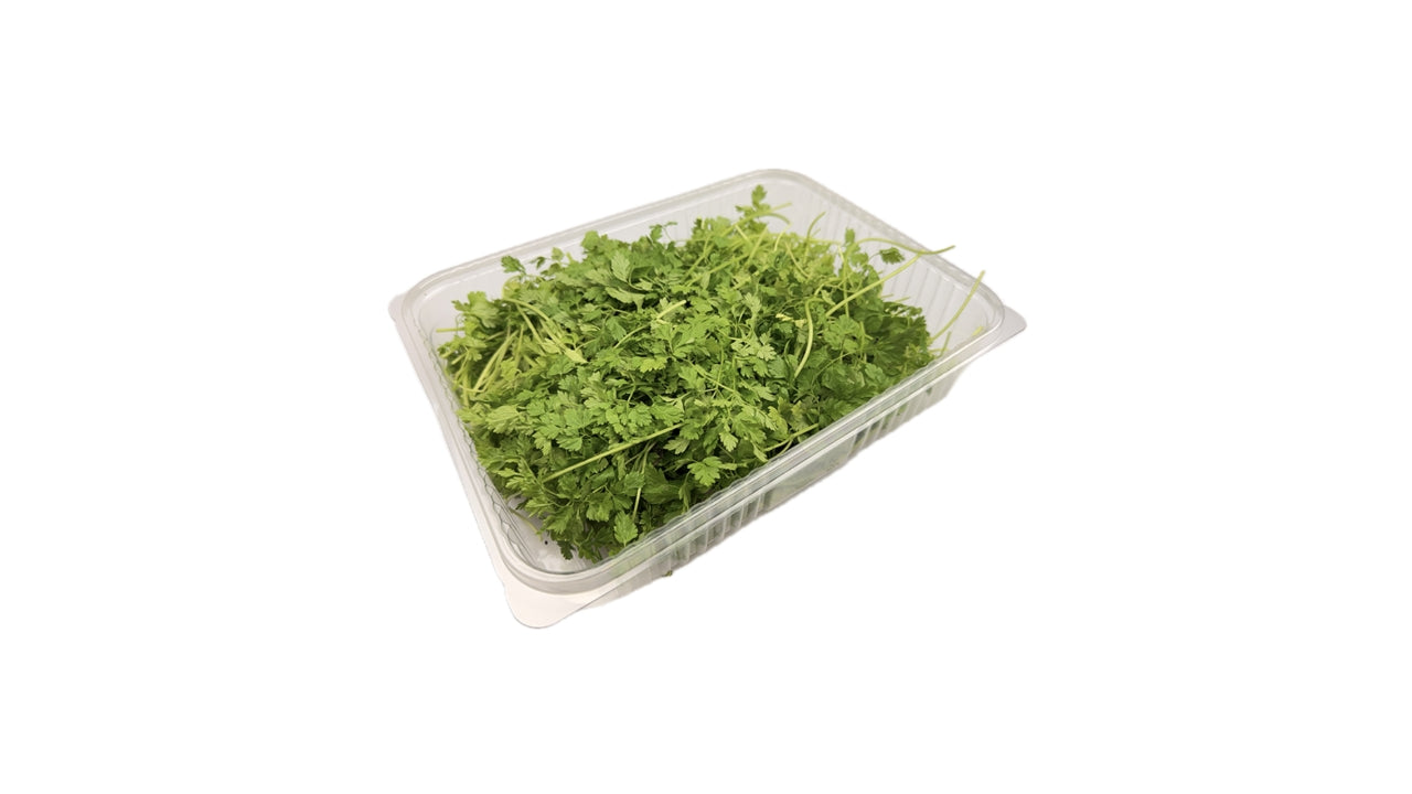 Øko Kørvel 70g i bakke