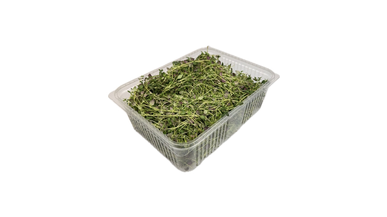 Øko Timian blød 200g i bakke