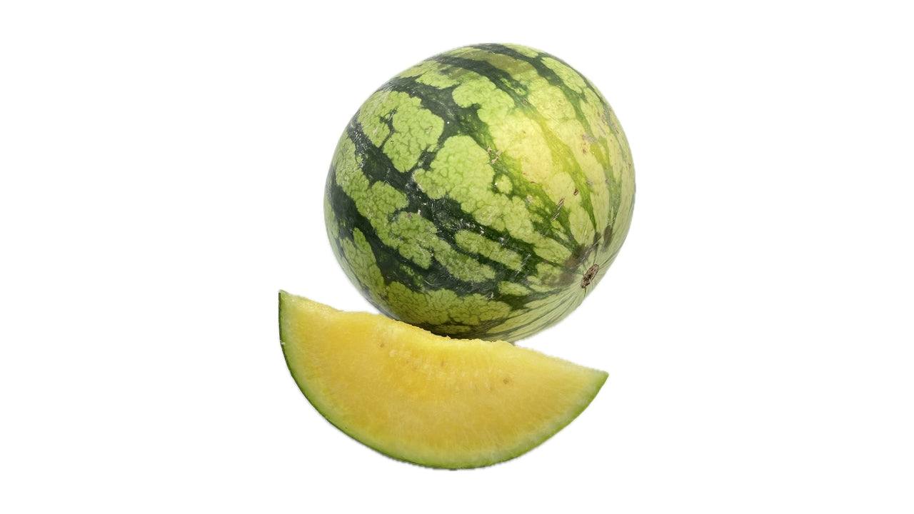 Melon Vandmelon gul (6)