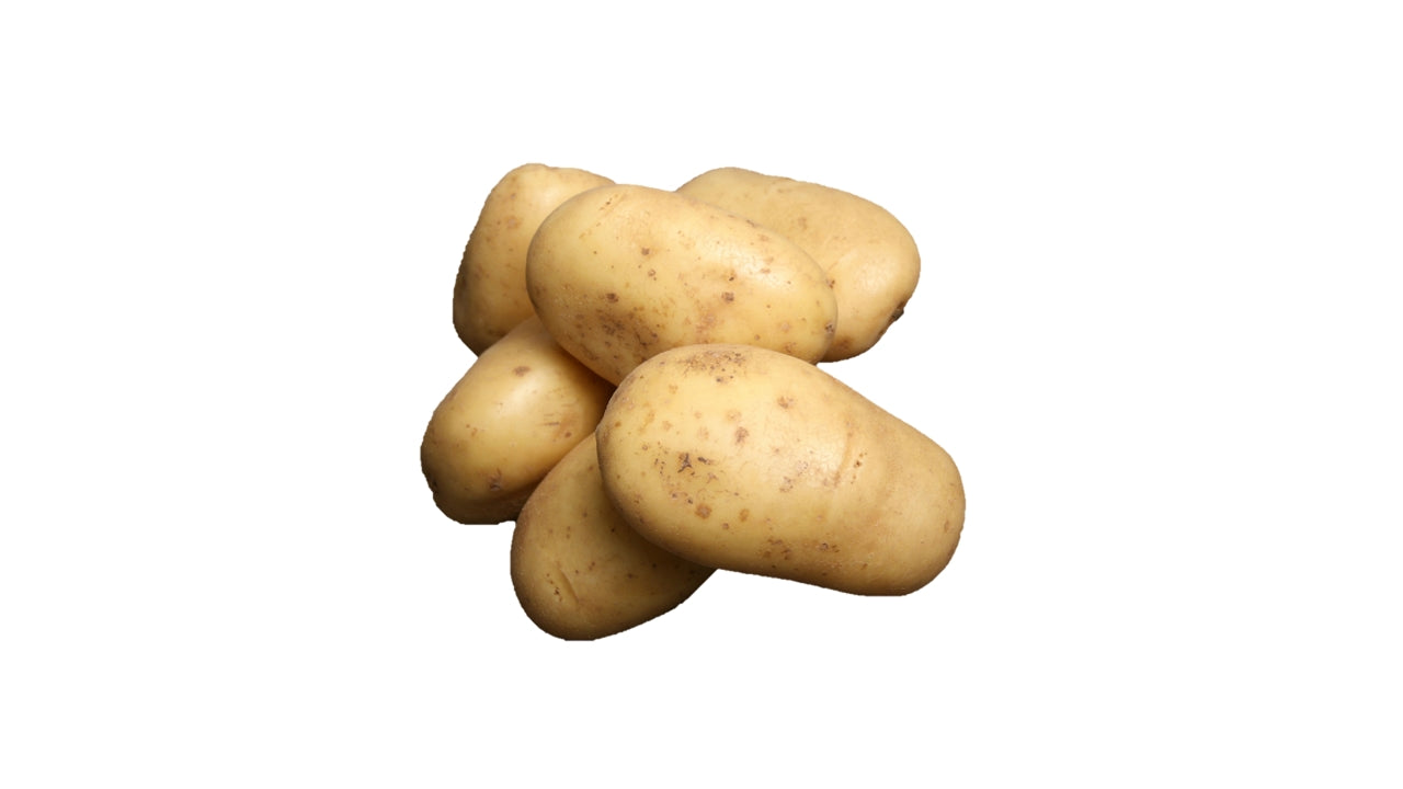 Øko Kartofler bage 55/+mm 5kg