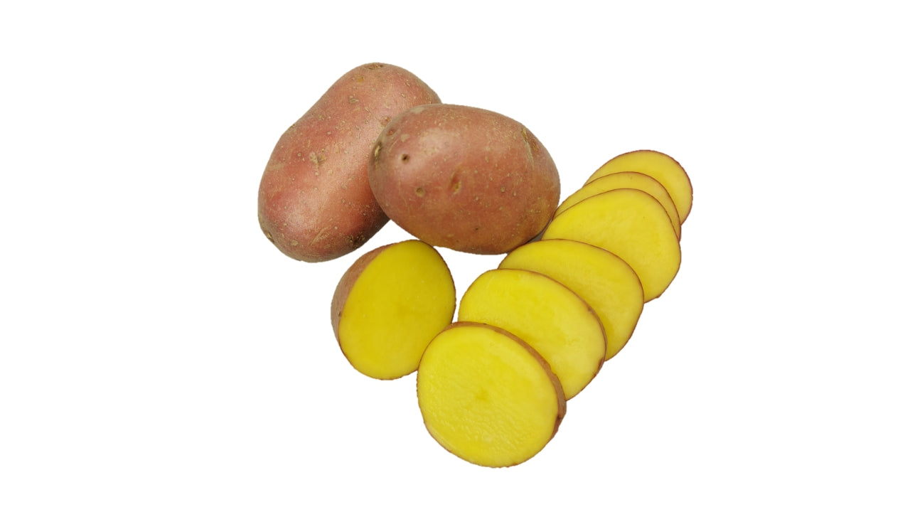 Øko Kartofler røde Alouette 5kg