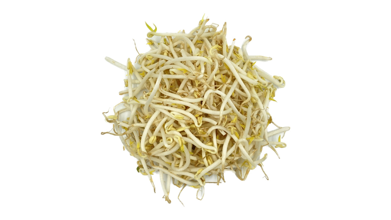 Øko Bønnespirer DK 1kg (8)