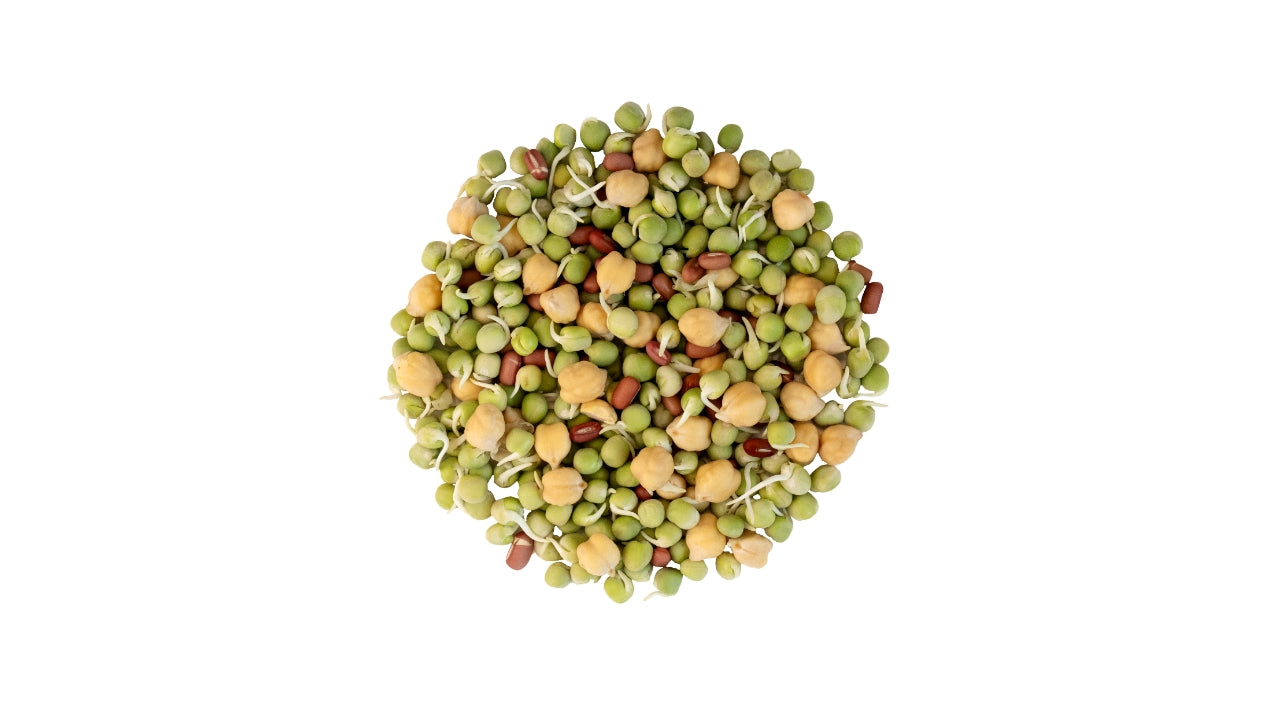 Øko Spirer Azukimix 1kg (8)