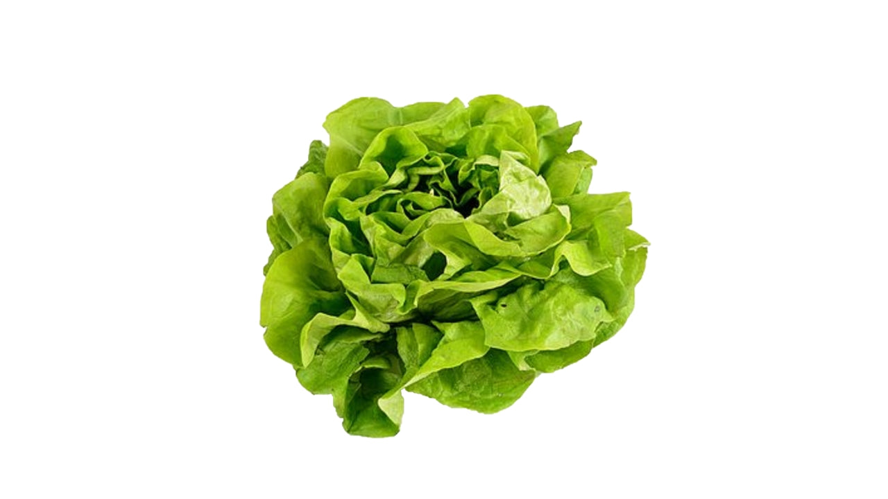 Salat hoved (8)