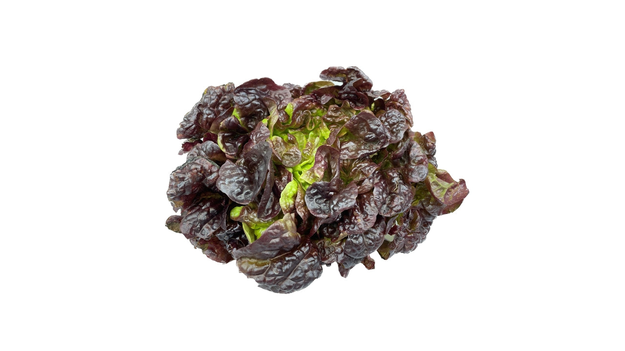 Salat Krøl rød (8)
