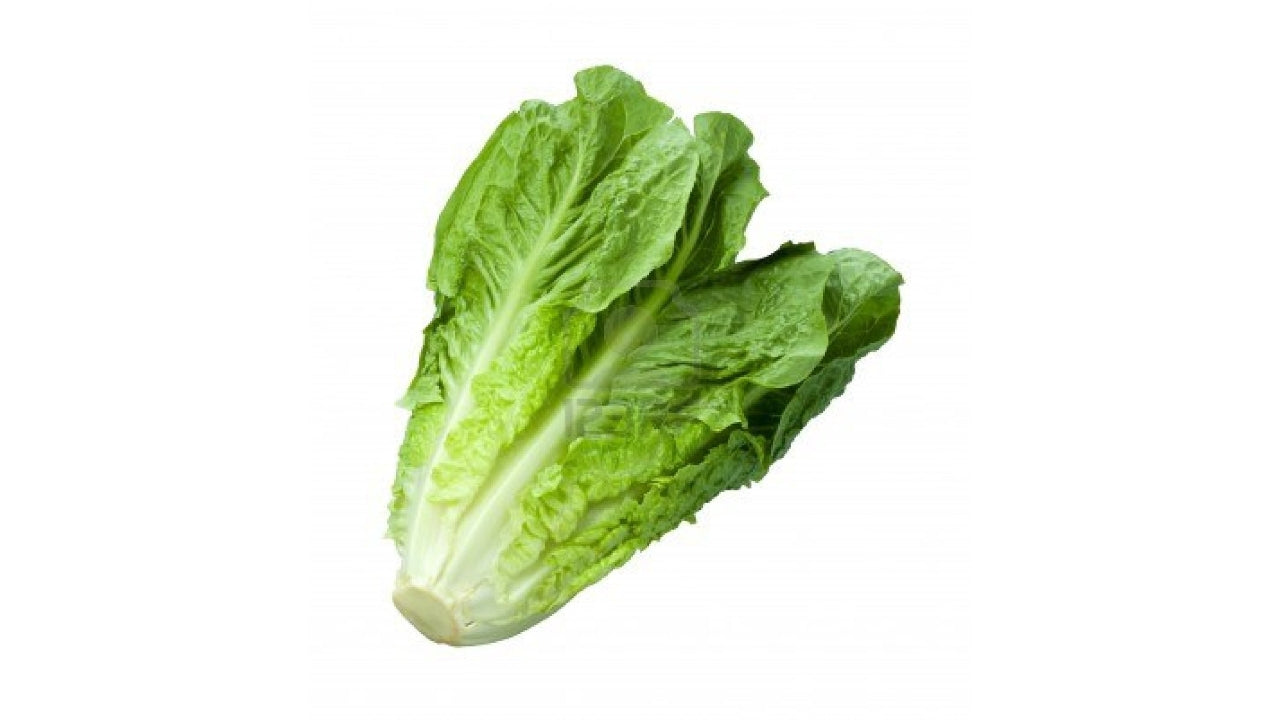 Salat Romaine (8)