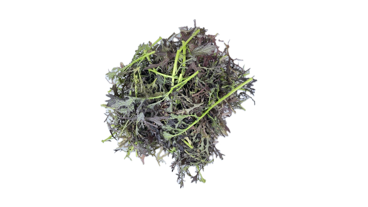 Salat Mizuna rød 100 g (8)