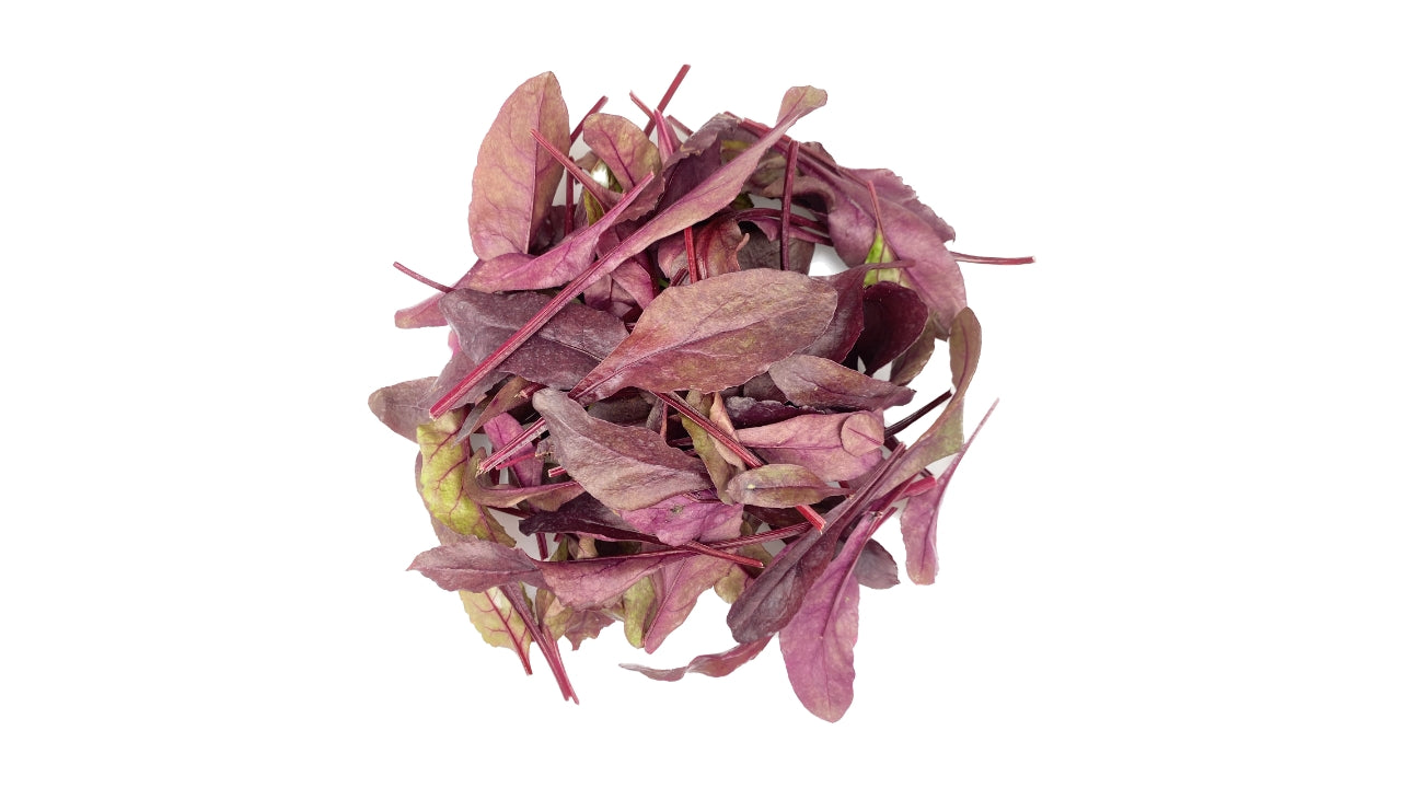 Salat Bulls Blood 500 g (2)