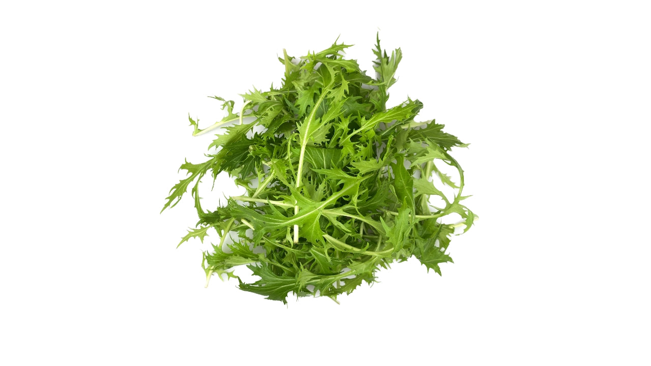 Salat Mizuna 500 g (2)