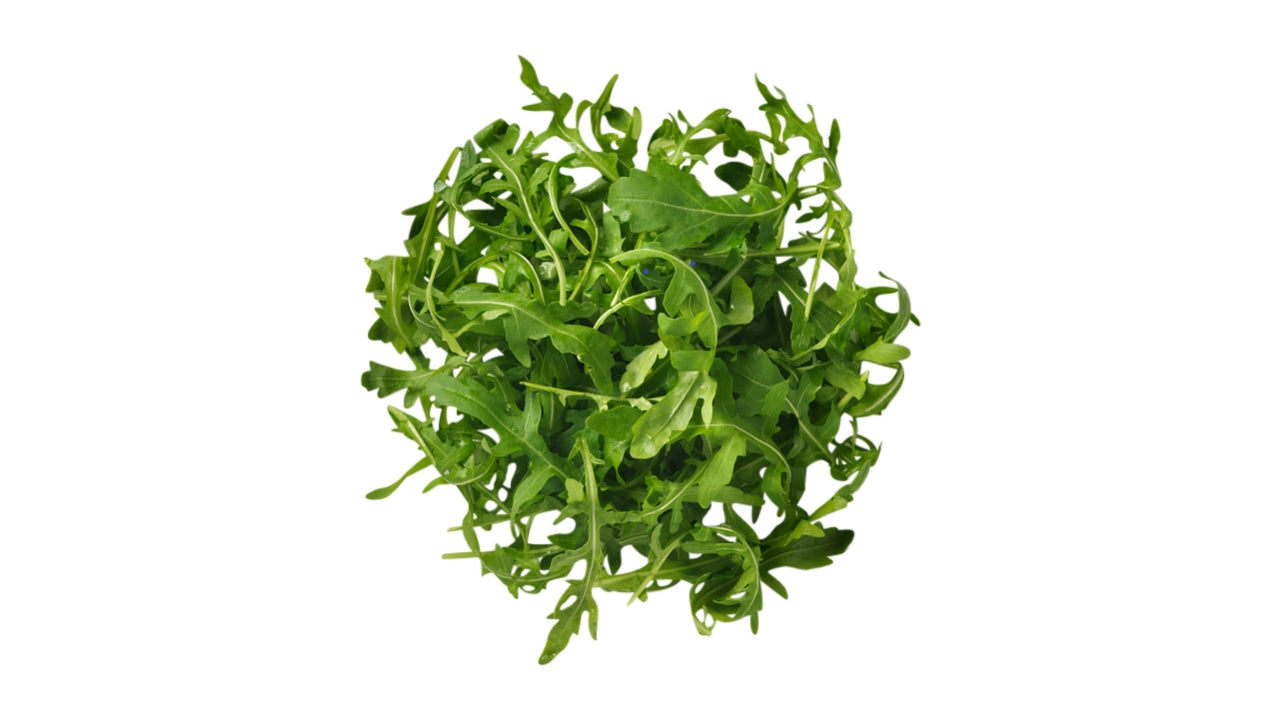 Salat Rucola vasket 500 g (2)