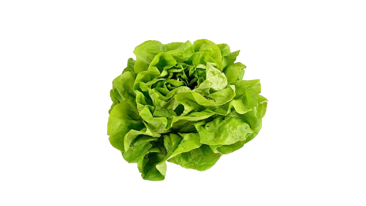 Salat hoved (8)
