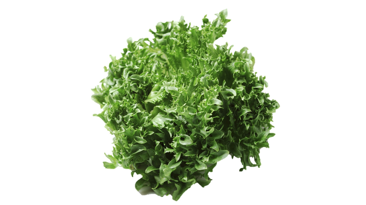 Salat Frillice (8)