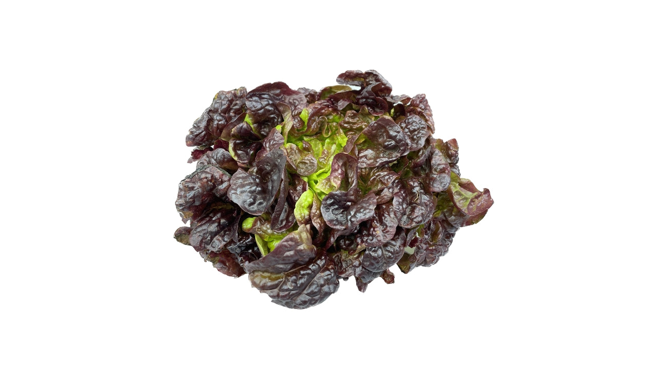 Salat Krøl rød (8)