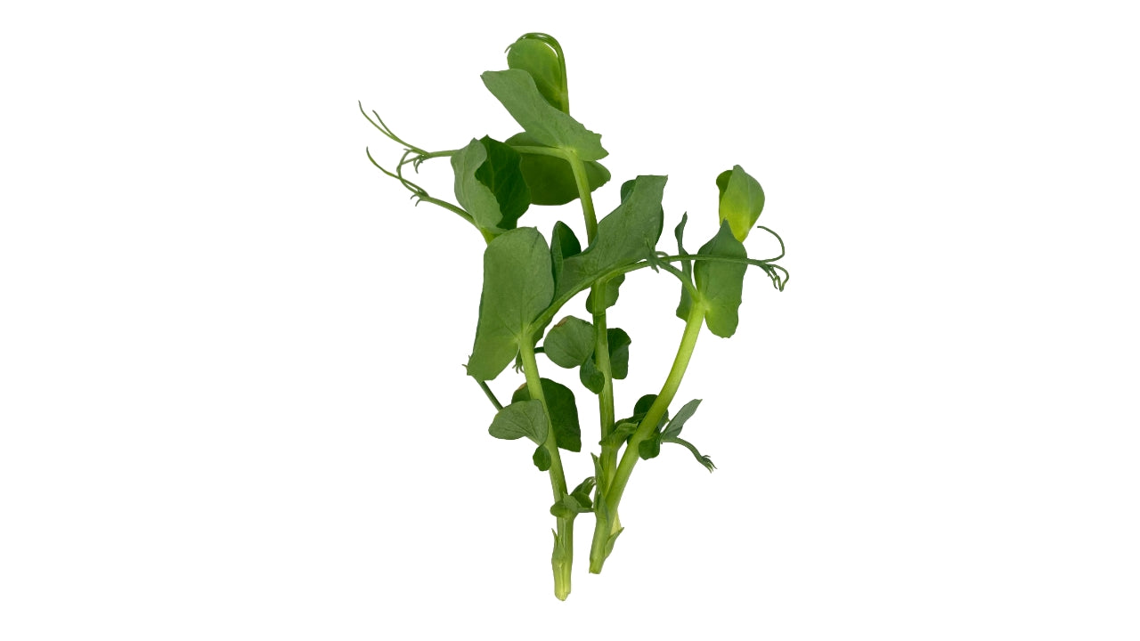 Ærteskud 500 g (2)