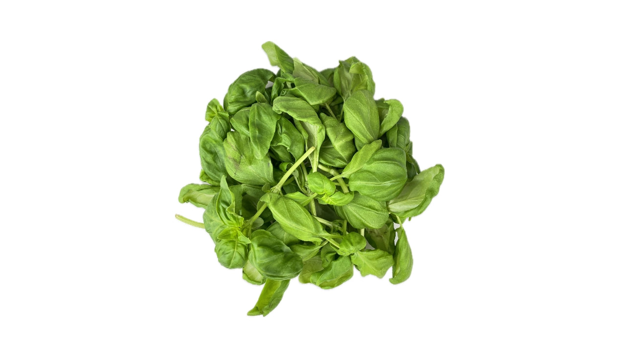 Basilikum bk 75g (8)