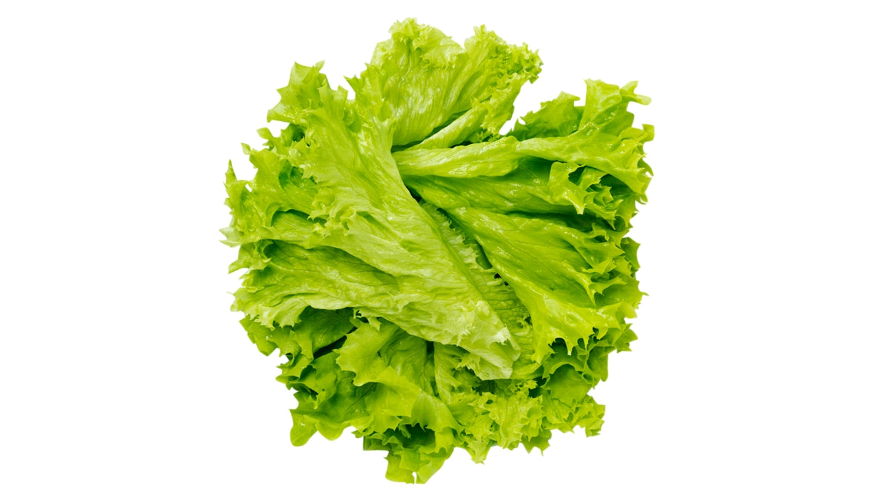 Salat Lollo Bionda blade bk 500 g