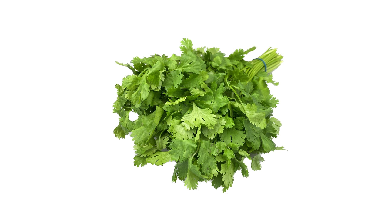 Koriander 75g