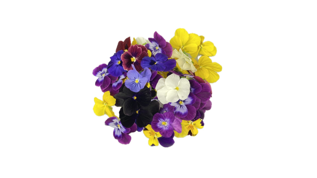 Spiseblomst Stedmoder DK 40 stk (5)