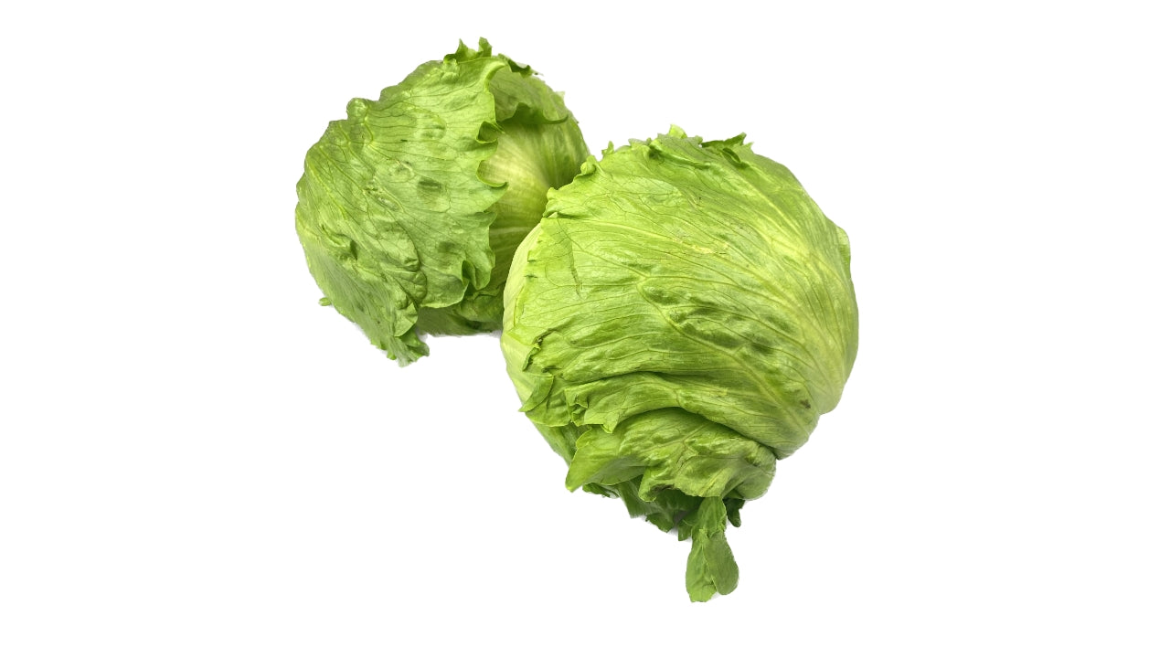 Iceberg DK Ny høst(10)