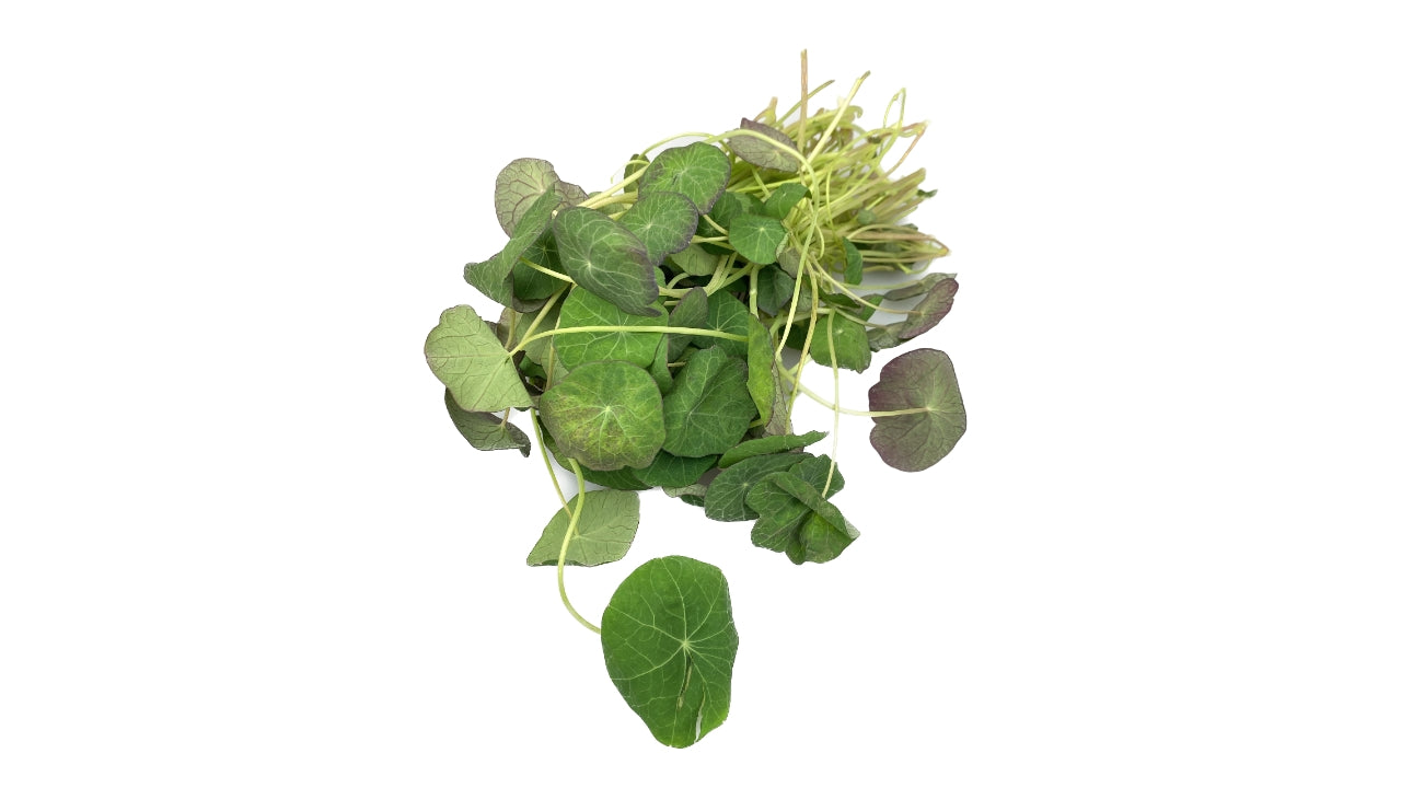 Tallerkensmækker blade DK 50g (8)