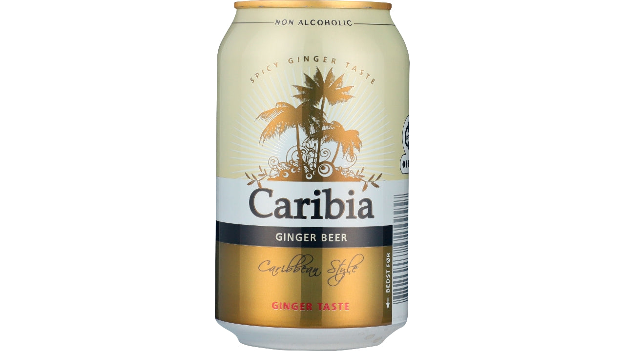 Ginger Beer ds 24x33cl