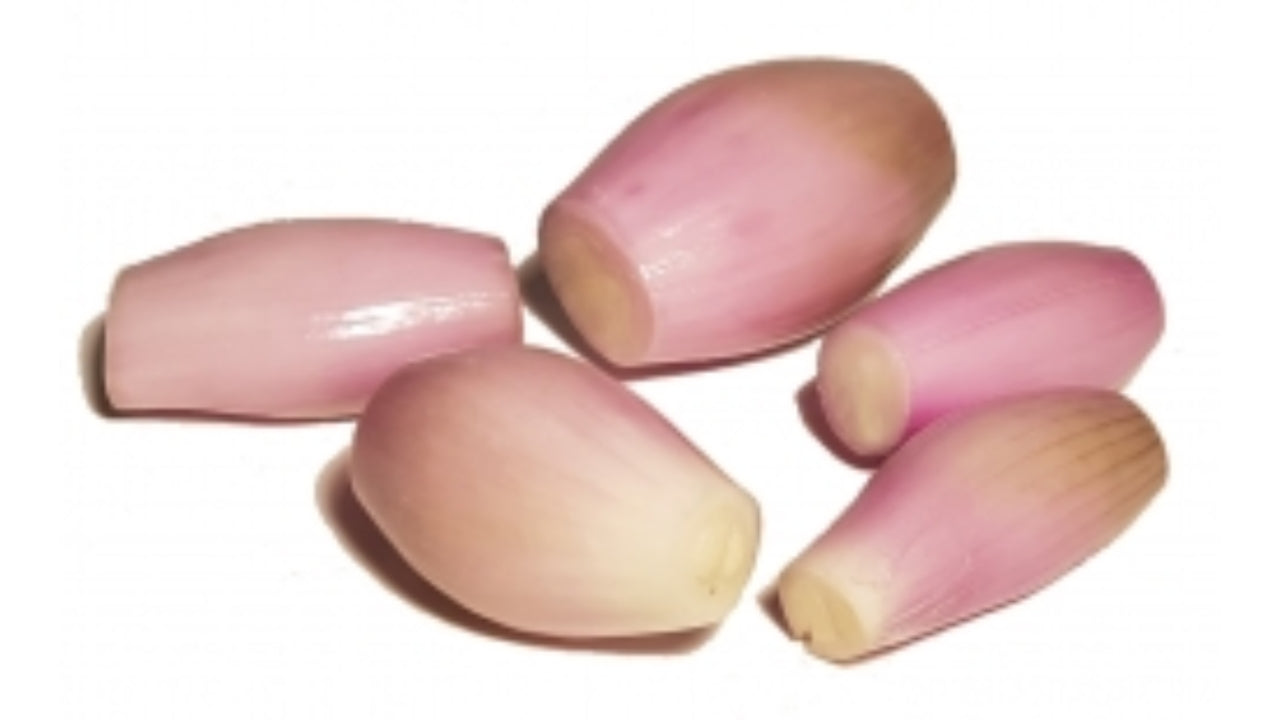Skalotteløg skrællede 3kg (3)