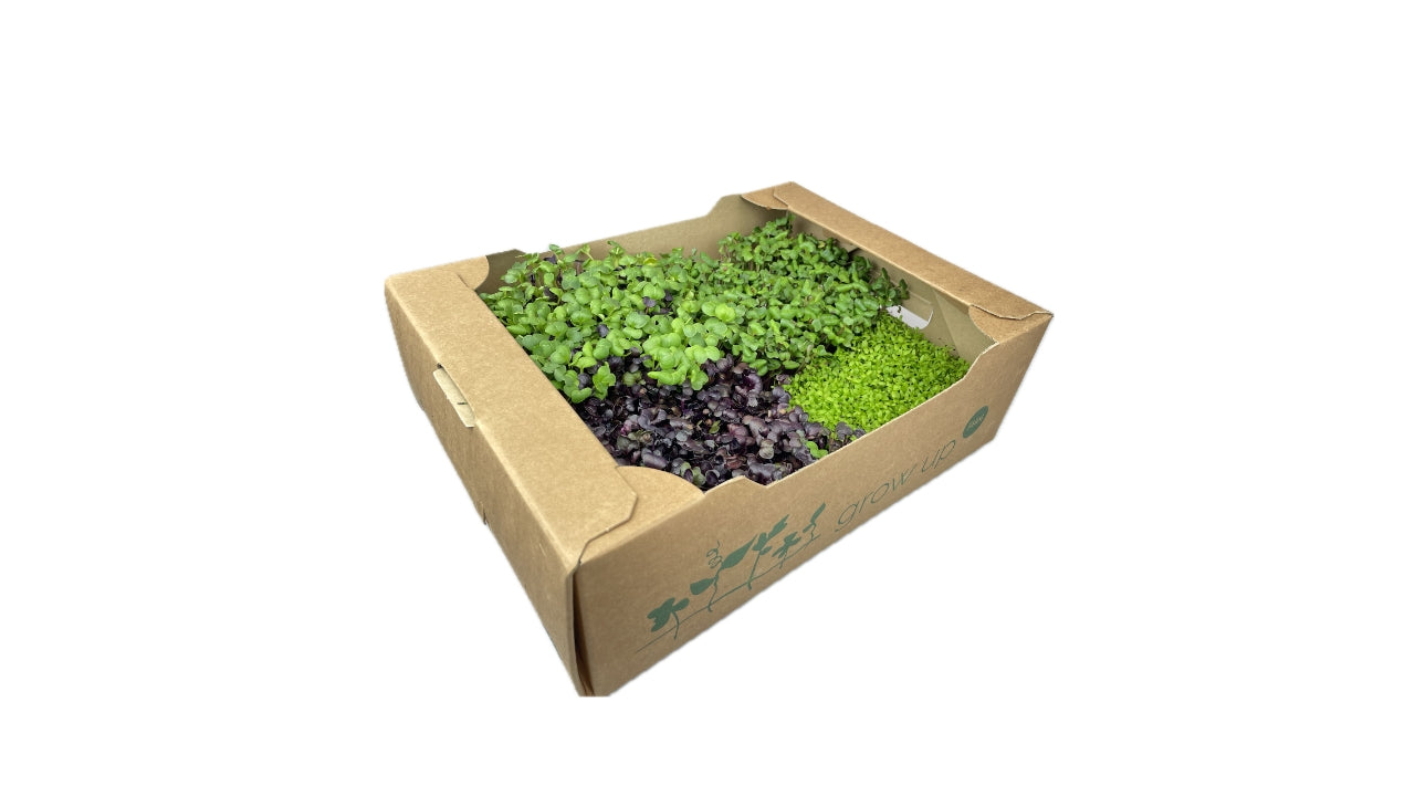 Øko Karse Farmers mix