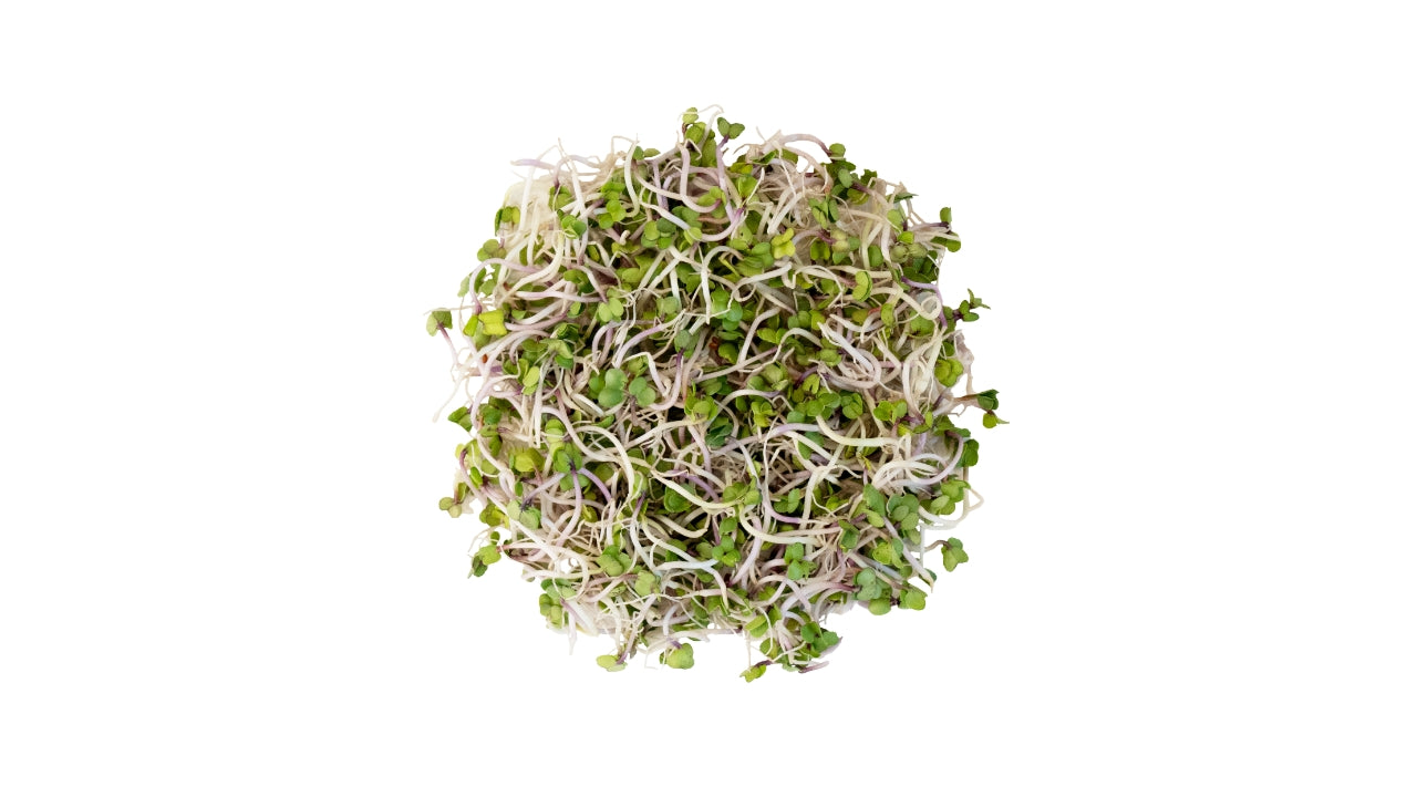 Øko Spirer China Rose 100g (6)