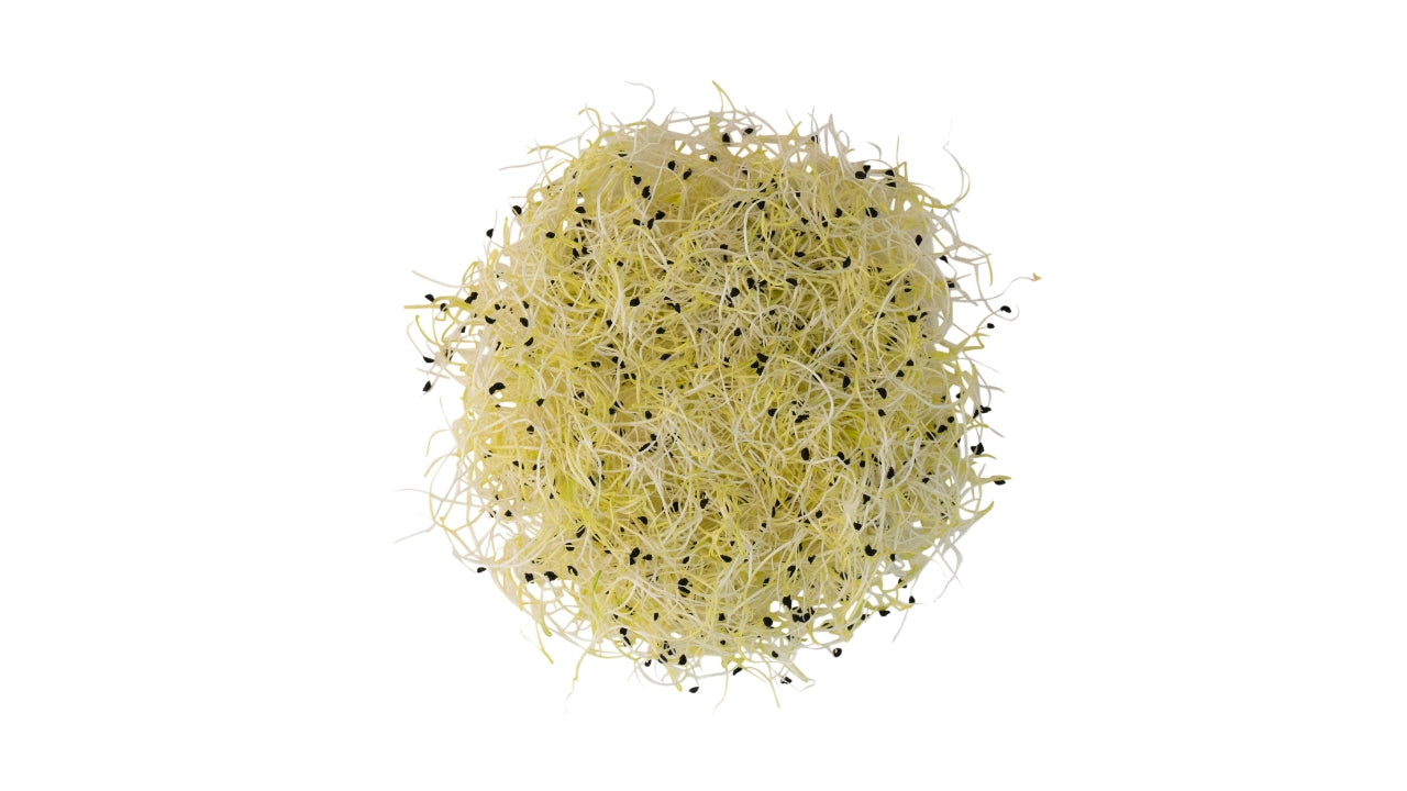 Øko Spirer Porre 50g (8)