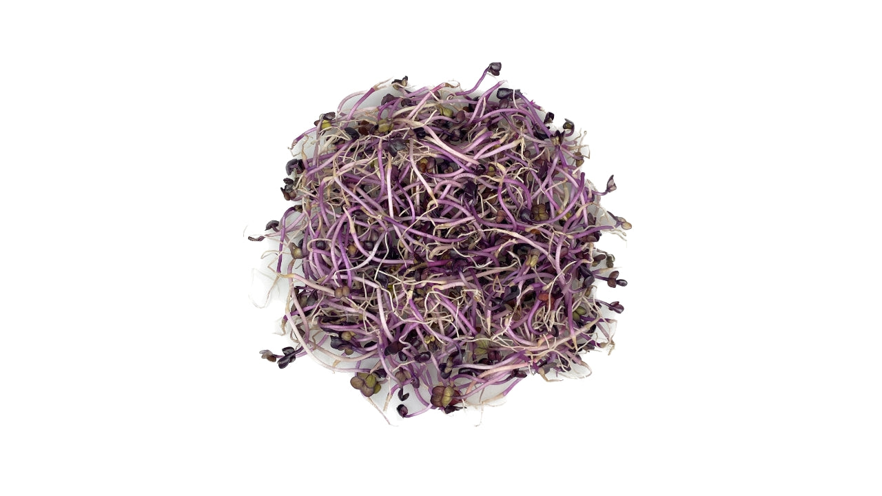Øko Spirer Sango-radise 50g (8)