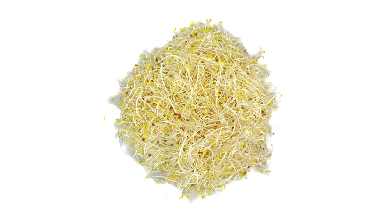 Øko Spirer Lucerne 100g (8)