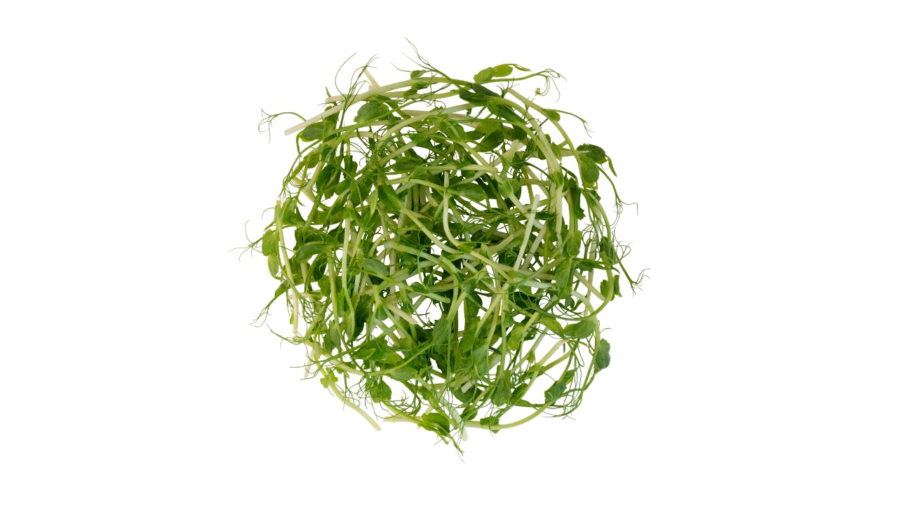 Øko Spirer Ærteskud 100g (4)