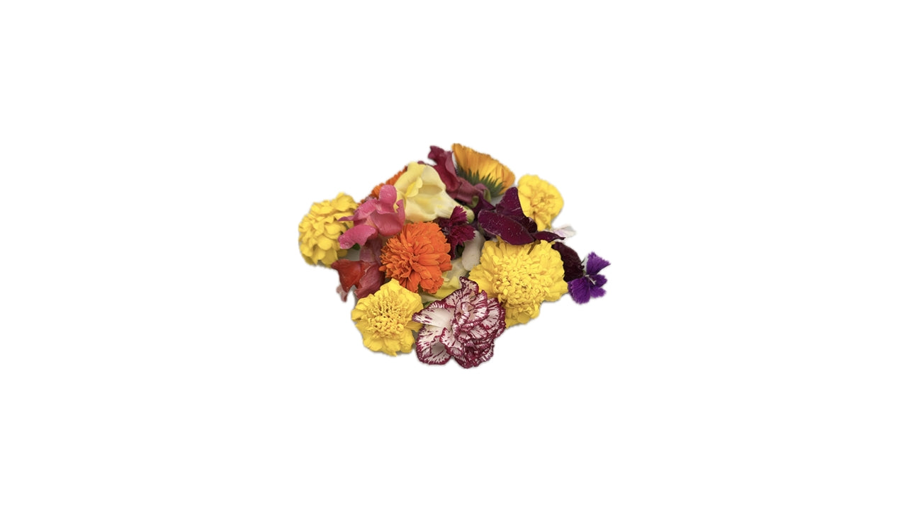 Spiseblomst Blomster mix 20-40 stk