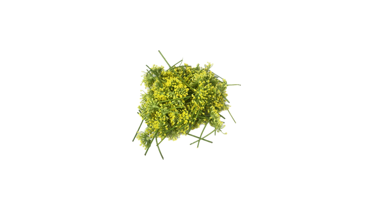 Spiseblomst Fennikelblomst