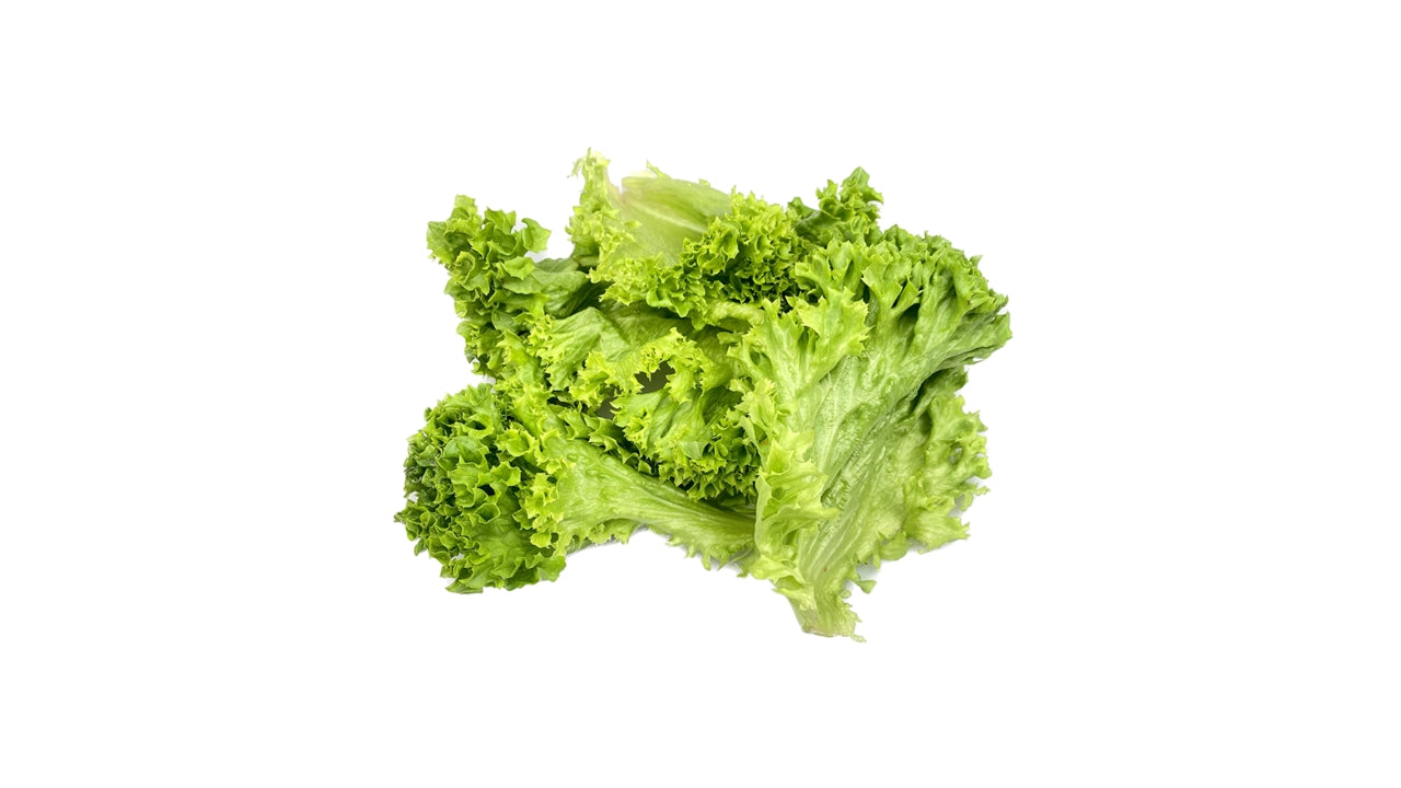 Salat Lollo Bionda blade vasket 500g (4)