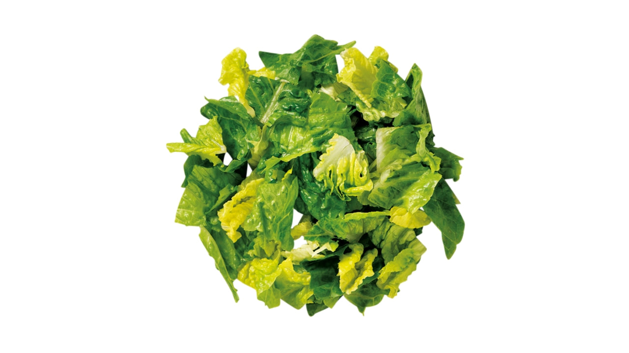 Salat Romaine strimler 20mm 500g (8)